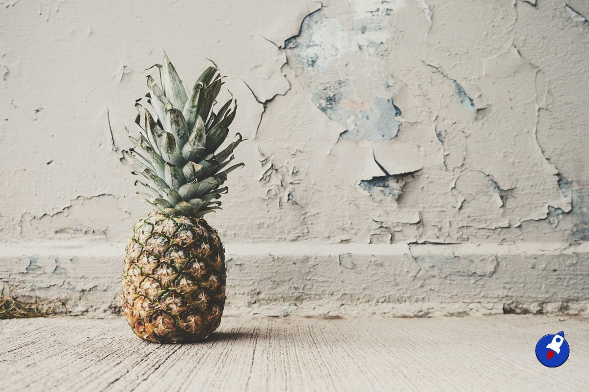 Ils lancent une application blockchain pour les cultivateurs d’ananas du Suriname image 1