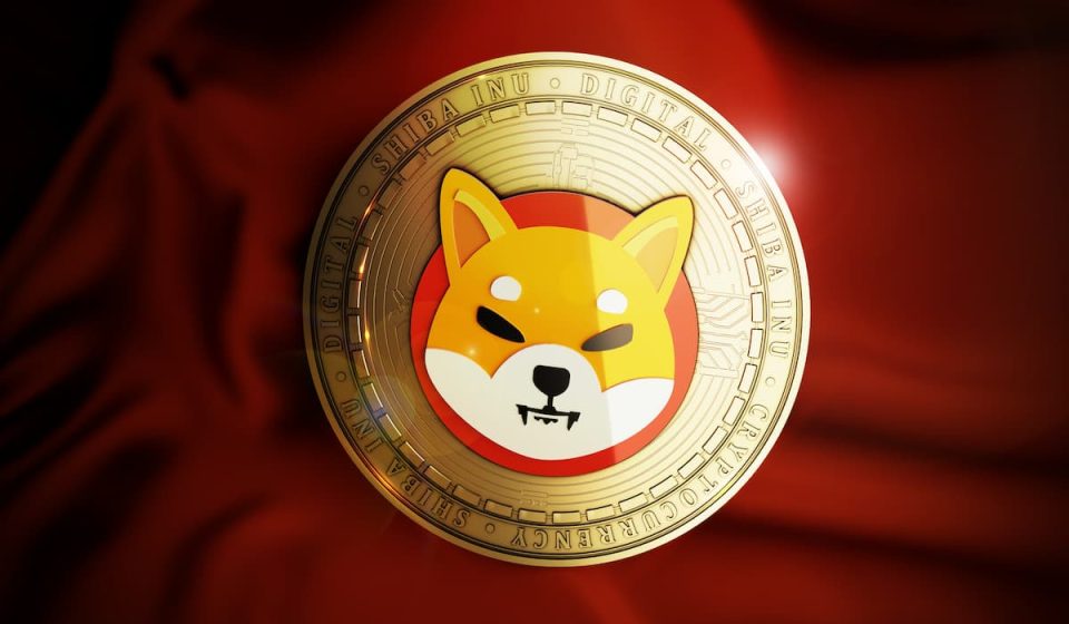 Shiba Inu Burns Hit the Brakes as Key Activity Drops