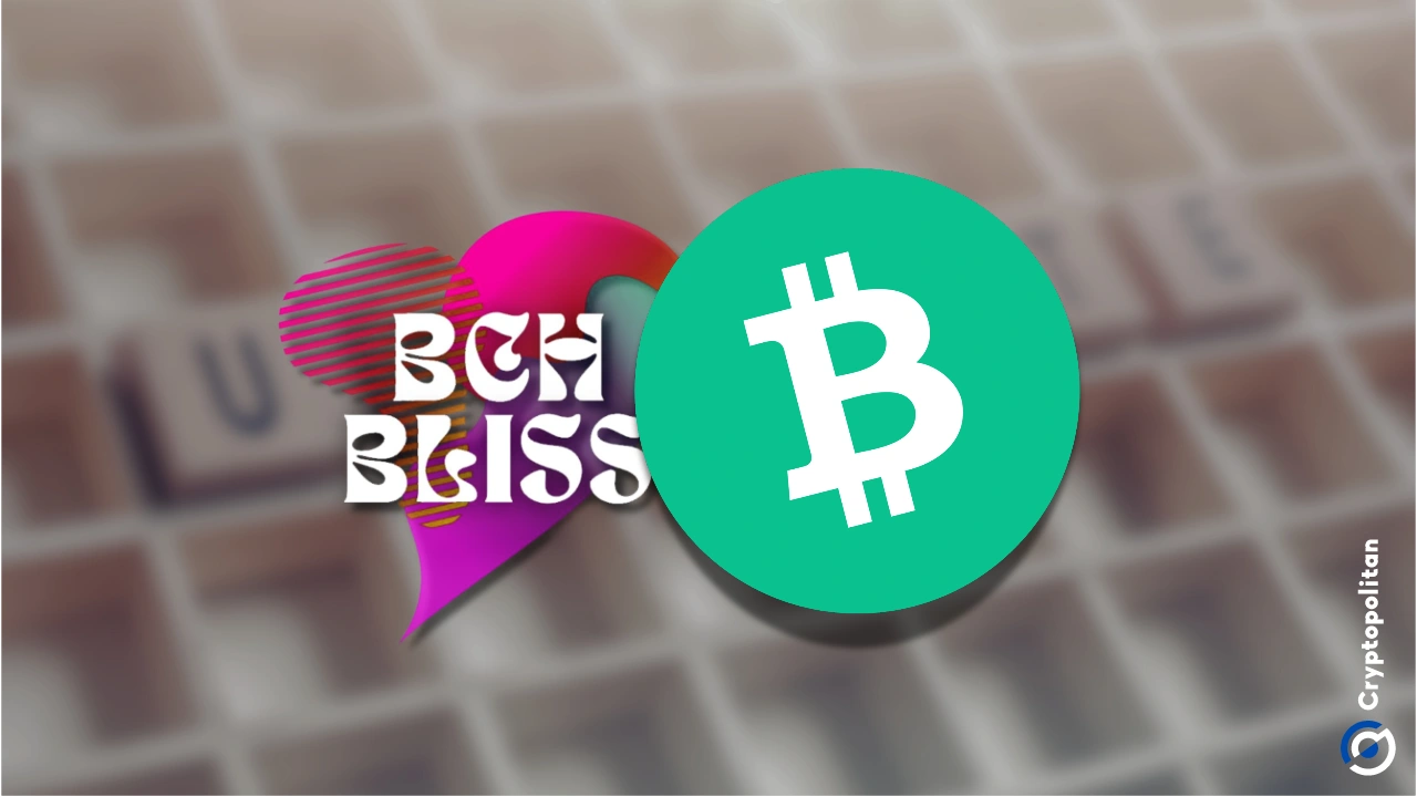 BCH为在斯洛文尼亚举行的Bliss 2025 Conference的BCH备份，5月的网络升级