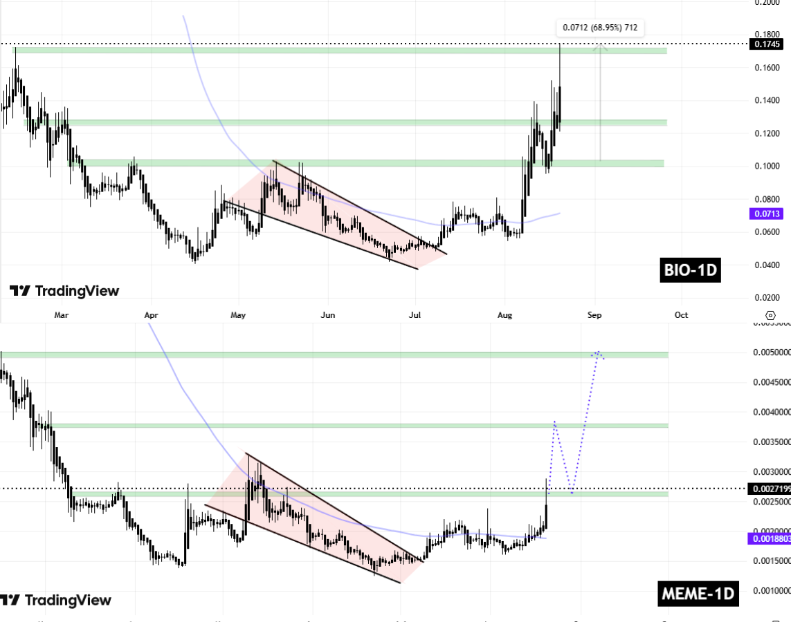 Memecoin (MEME) To Rally Higher? Key Emerging Fractal Signaling Potential Upside Move image 1