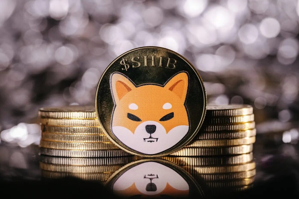 Shiba Inu Lança Incentivos para Stakers na Parceria com K9 Finance