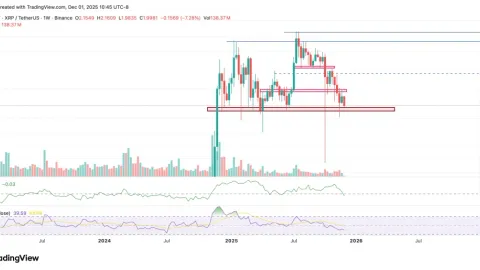 569 ballenas de XRP desaparecen, pero las tenencias de ballenas alcanzan su máximo en 7 años. ¿Qué está pasando?