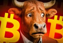 Top-Analyst sagt voraus: „Der Bullrun endet in 40 Tagen“ – mit einer „Q4 Explosion“! Was bringt der „finale Push“?