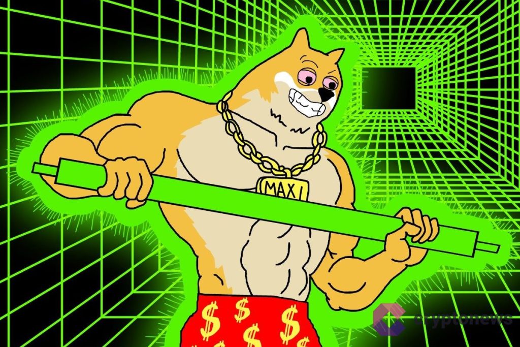 Nouveau bull run Dogecoin ? les holders achètent massivement le dip image 1