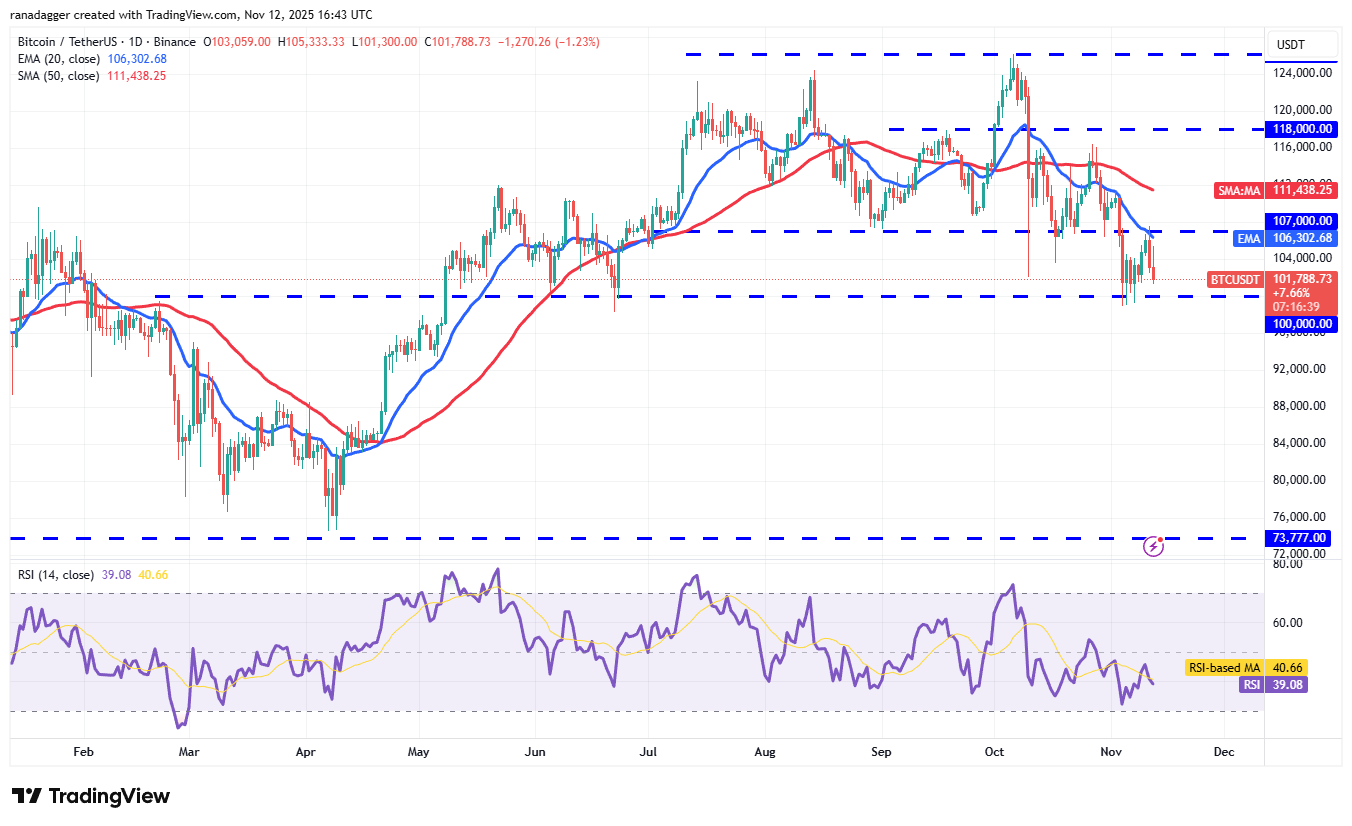 價格預測 11/12：BTC、ETH、XRP、BNB、SOL、DOGE、ADA、HYPE、LINK、BCH image 1