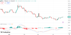 Analysts Bullish on Solana (SOL) Price Amid Whale Activity Surge image 1