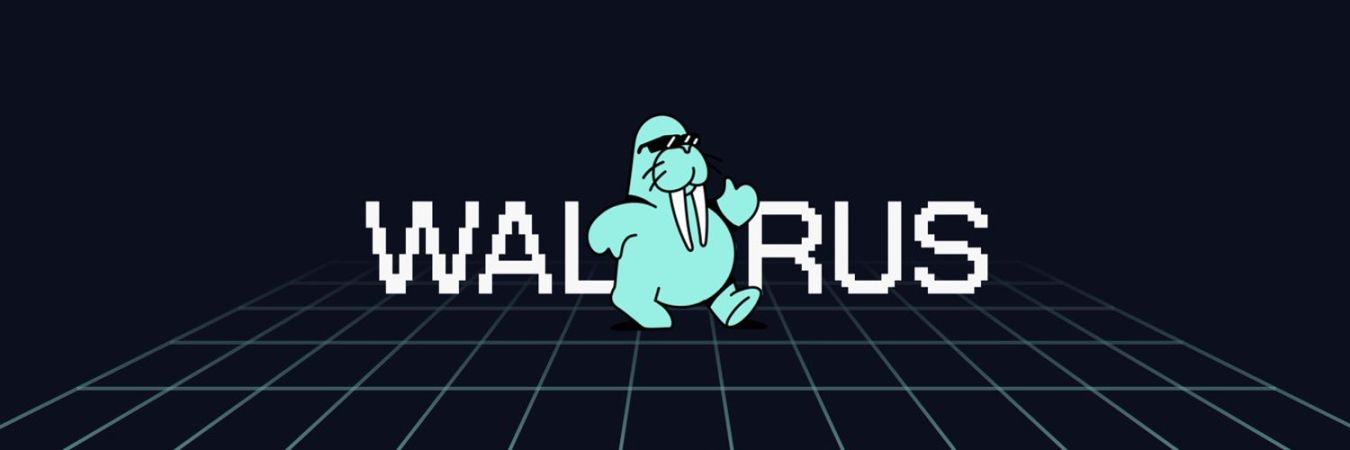 解读Walrus：Sui官方亲下场，去中心化存储新方案 image 0