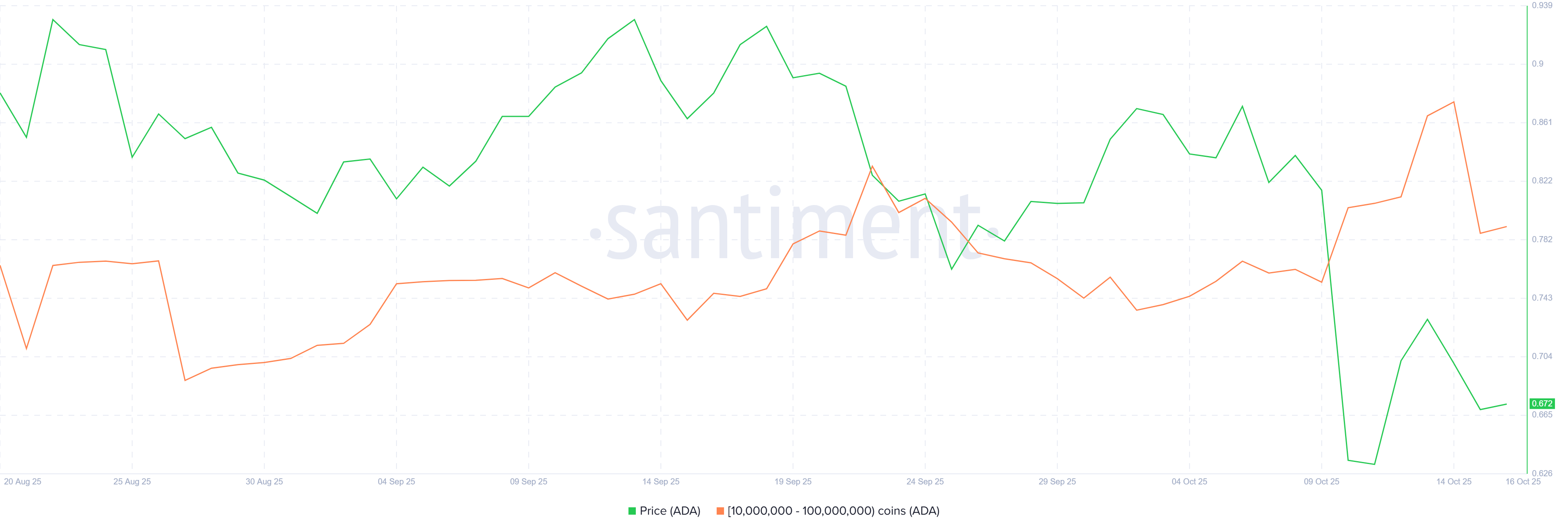 Las entradas de Cardano alcanzan su nivel más alto en 3 meses, pero ¿los grandes tenedores están bloqueando una recuperación? image 1