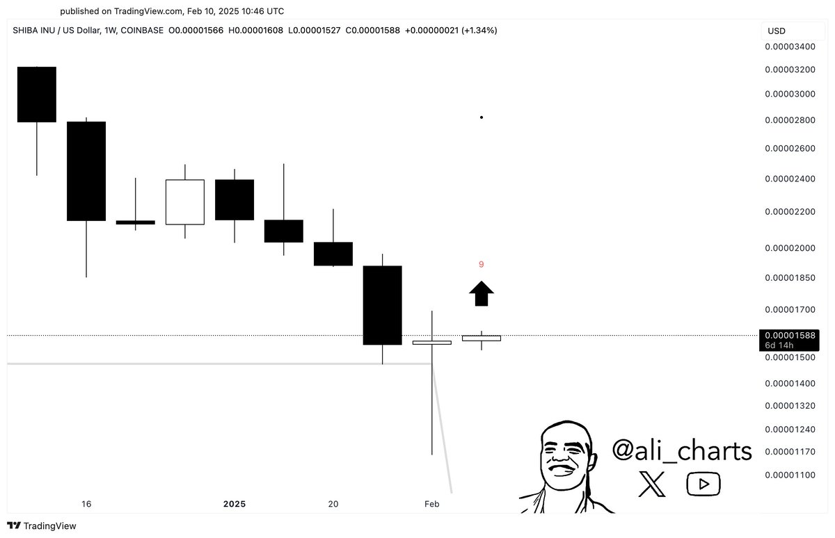 SHIB Eyes Rebound: Technical Indicators and Whales Signal Buy