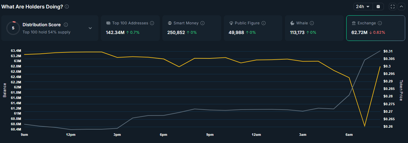 3 Tokens Top Holders Are Quietly Buying Up image 0