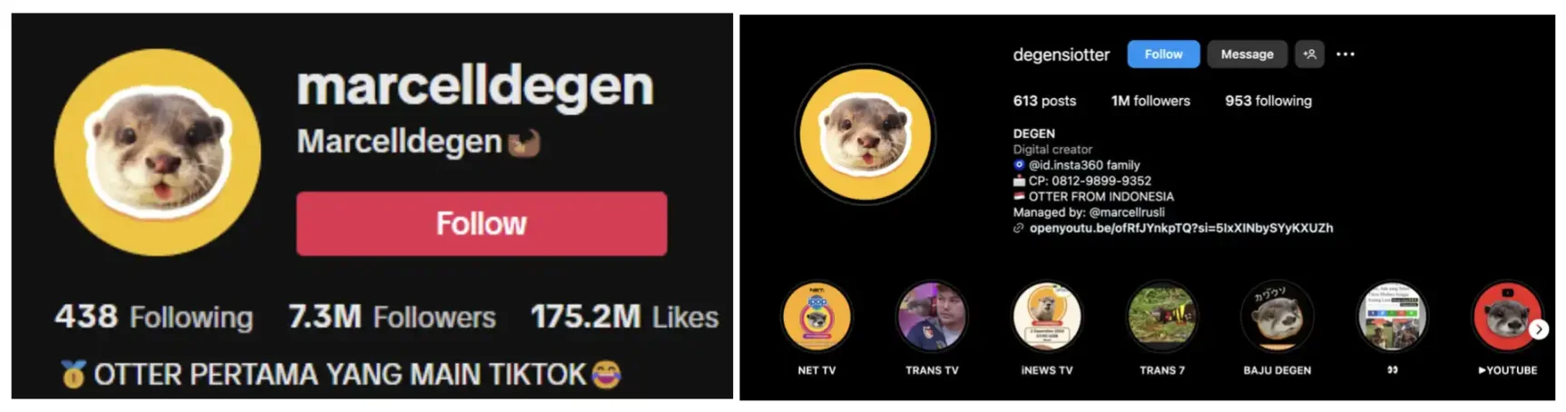 TikTok网红动物成Meme新概念，一夜百倍项目相继而出 image 2