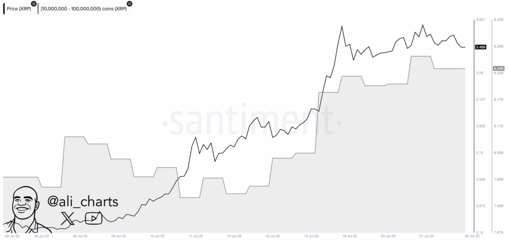 Por qué está cayendo el precio del XRP: ¿Puede recuperarse? image 0