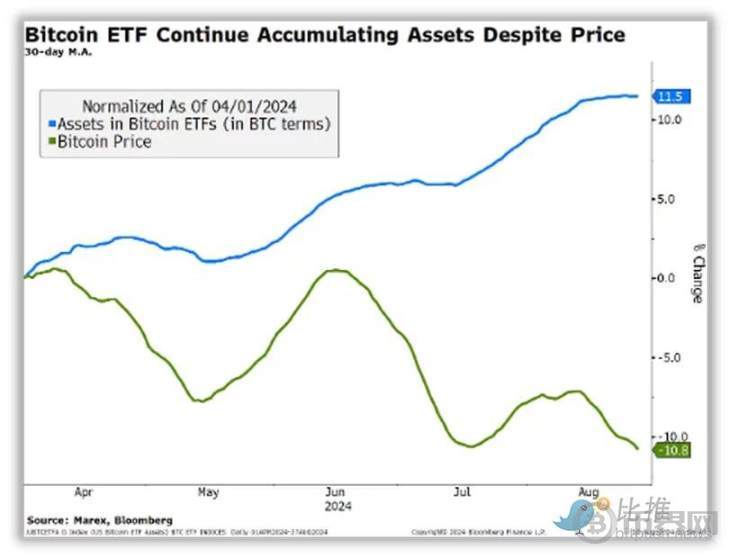黄金涨，BTC 跌，财务顾问如何看「价值存储」这一叙事 image 2