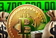 Krypto News: Groß-Anleger investieren 3,7 Milliarden Dollar in Kryptowährungen – zweitgrößter Wochen-Zufluss aller Zeiten