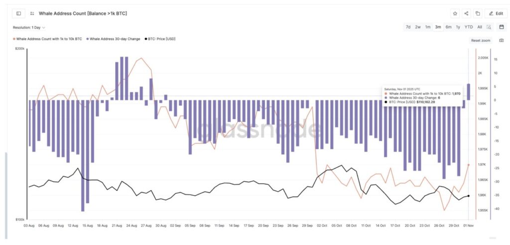 Harga Bitcoin Melayang di $109.000 (3/11): Grafik Bitcoin Bullish, Tapi Kenapa Breakout Tertahan? image 3