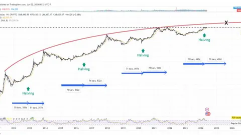 Brandt Predicts Bitcoin Top with Halving Analysis
