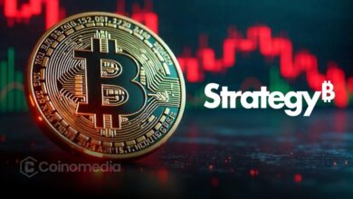 Strategy Amassed 50% of BTC Holdings in 13 Months