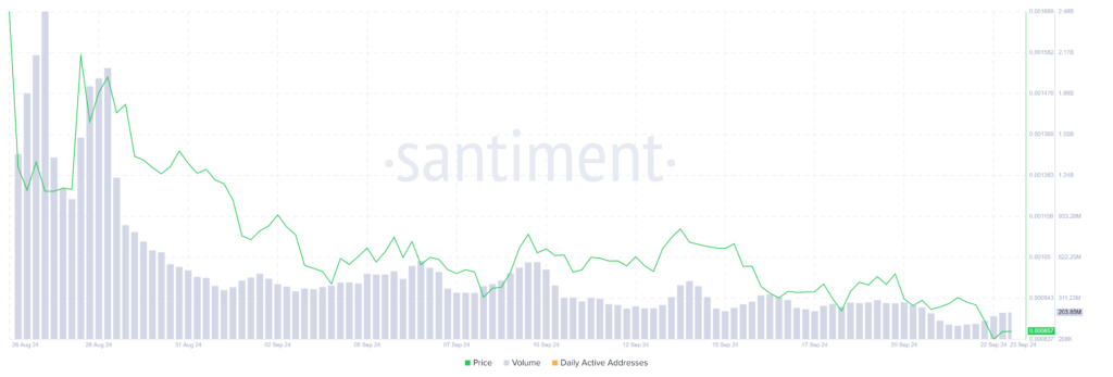 WILL DOGS Overcome Its Bears After Hitting All-Time Low? image 1