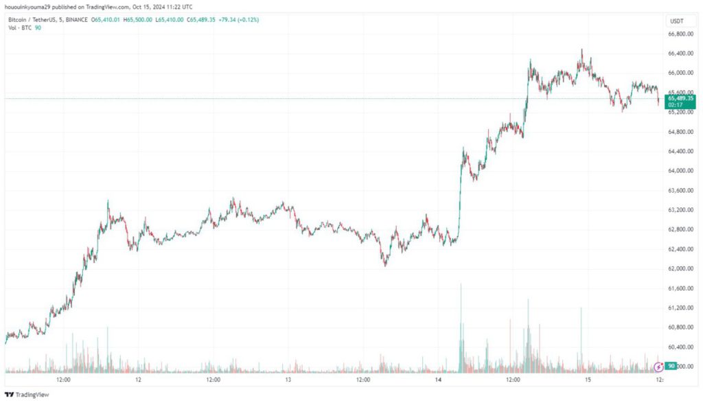 91% Pemilik Bitcoin Raup Keuntungan Setelah Rally Mencapai Rp1 Miliar, Apakah Kamu Siap? image 0