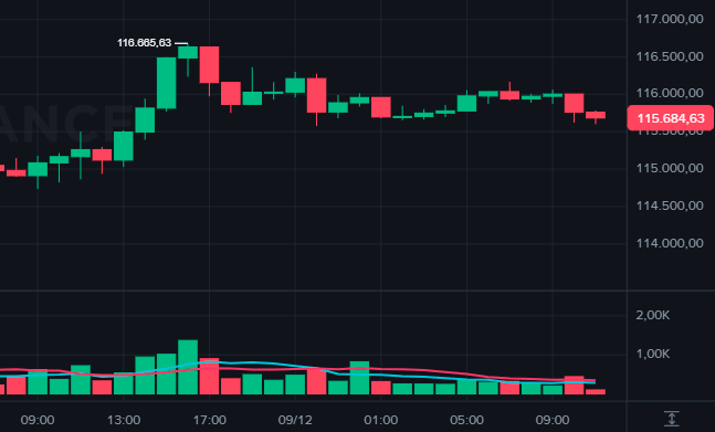 Bitcoin hits $116.500 as memecoins like PEPE and DOGE soar