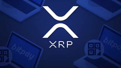 SEC erkennt Spot-XRP-ETF-Antrag von Bitwise an