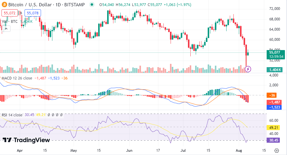 Large Bitcoin Holders Increase Holdings Despite Recent Price Volatility image 3