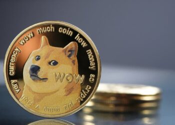 Dogecoin llegará a la tesorería de Bit Origin con una estrategia que incluye a Elon Musk