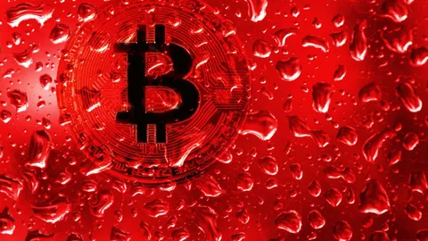 Bitcoin Price Drops Below $66,000 - What's the Reason?