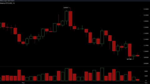 Picos y caídas: Los 10 principales criptoactivos se dividen entre nuevos máximos y antiguos mínimos