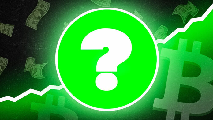 Krypto News: „Habe den nächsten Bitcoin gefunden“! Memecoin-Guru sicher: Dieses Asset geht jetzt dann völlig durch die Decke image 1