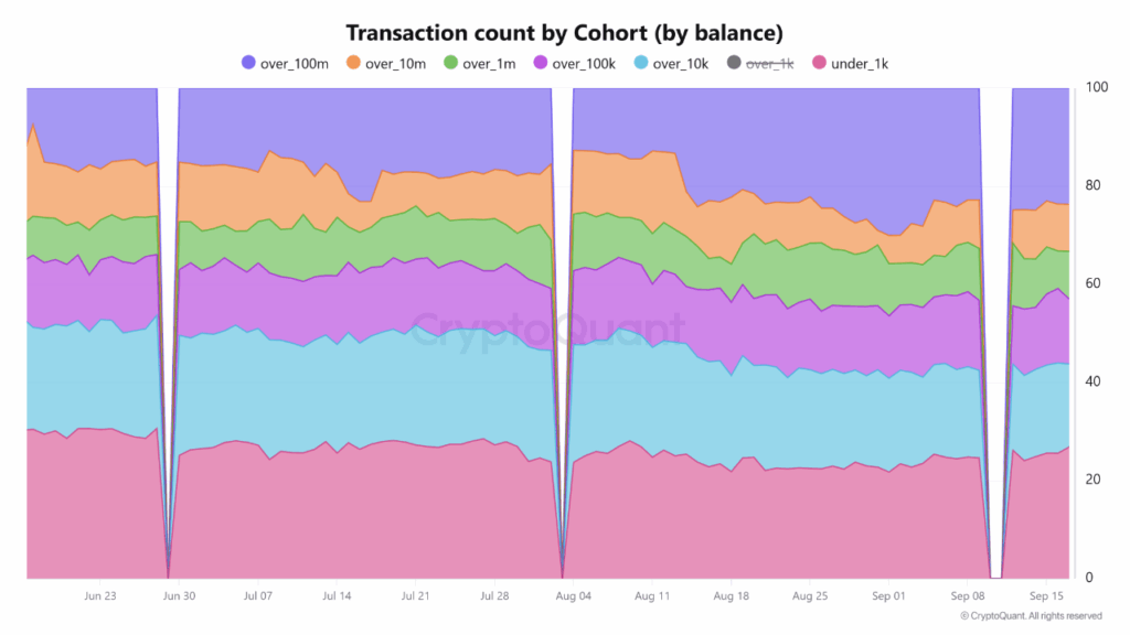 TRON USDT Distribution May Indicate Retail Wallets Drive Daily Transfers While Whales Hold Significant Liquidity image 0