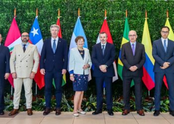 7 bancos centrales de América del Sur se reúnen por las criptomonedas