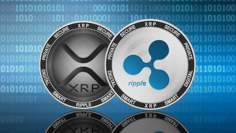 Is XRP Set to Surge to $1? According to This Chart it is Possible