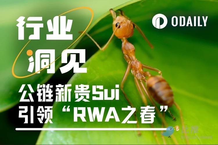 L1搏杀进行时，公链新贵Sui引领“RWA之春” image 0