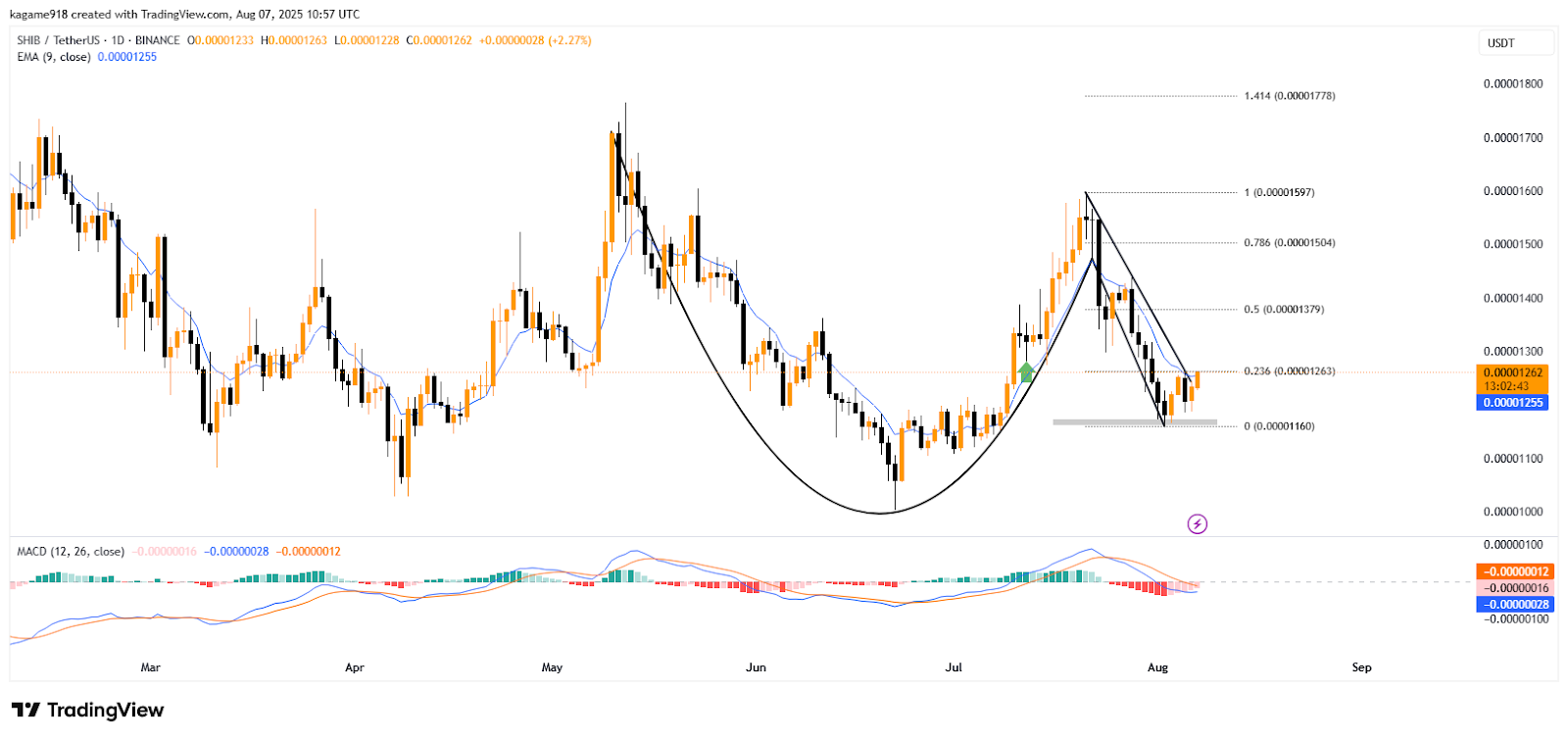 Shiba Inu’s Data Signals Big Move as Volume and Price Spikes image 1