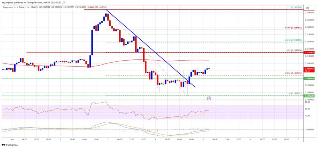 Potensi Pemulihan Harga Dogecoin (DOGE) Menurut Analis: Apakah Akan Berlanjut? (6/3/25) image 0