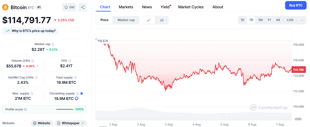 Bitcoin kämpft gegen ein schwieriges Marktumfeld image 0