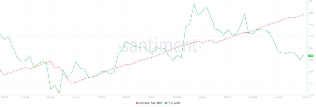 Cardano Faces Death Cross Formation as Golden Cross Period Concludes: What Does It Mean for ADA? image 0
