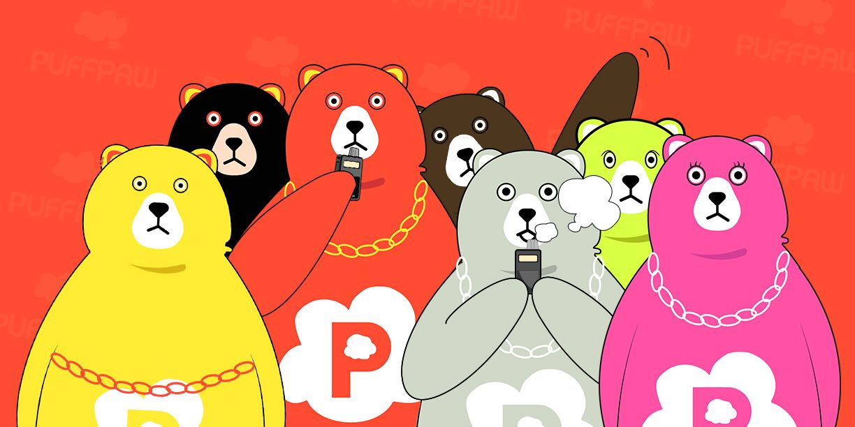 “熊链”首个DePIN电子烟项目PuffPaw：完成600万美元融资，欲改善个人吸烟习惯、实现数据变现 image 0