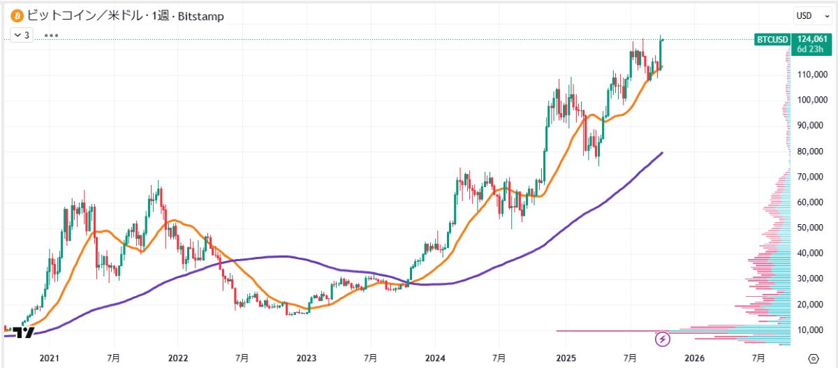 ビットコイン12万5000ドルで最高値更新｜急騰の背景と今後の見通し image 1