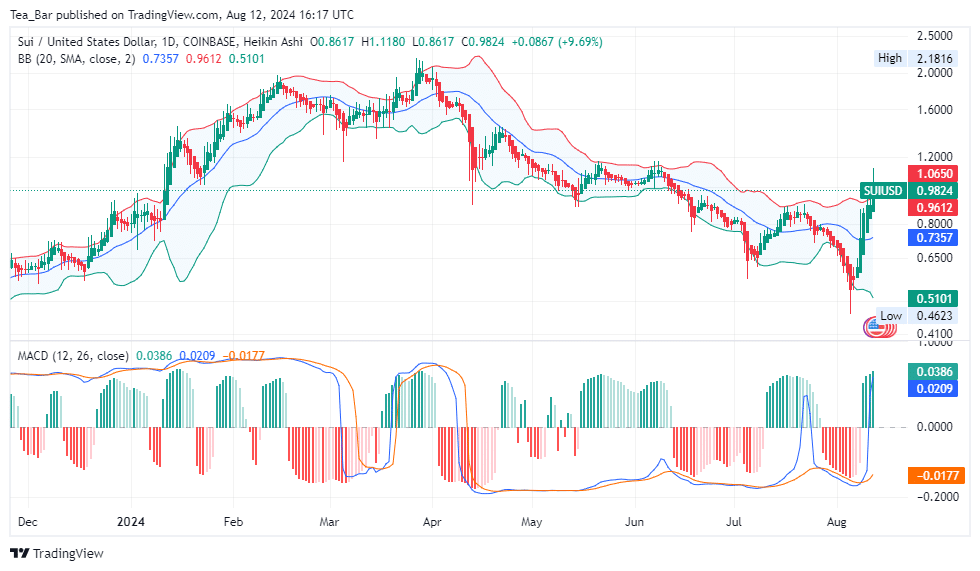 Sui Price Prediction for Today, August 12 – SUI Technical Analysis image 1