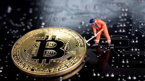 Bitcoin miners are experiencing difficulties, but the situation is not fatal