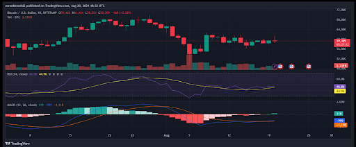 Bitcoin’s Market Cap Reaches $1.17T Amid Bull Market Uncertainty image 1