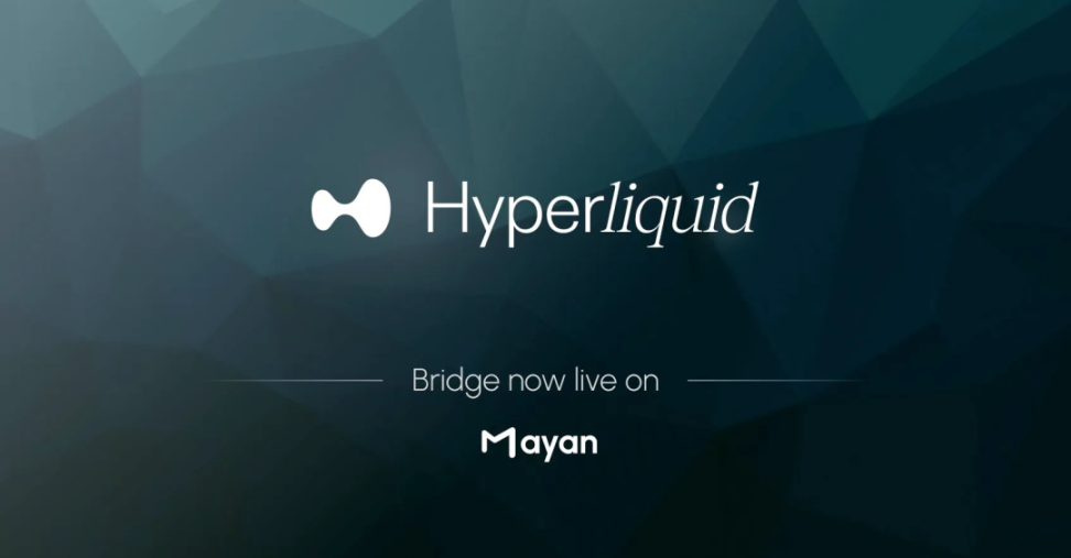 秒级跨链，畅游 Hyperliquid：由 Wormhole 和 Mayan 支持的 HL 跨链桥正式上线！ image 6