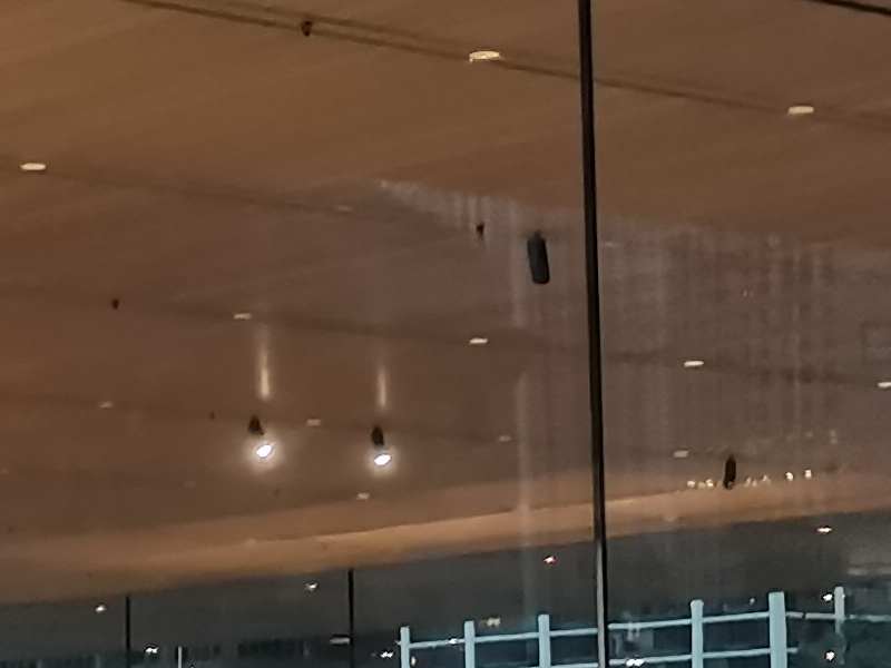 苹果(AAPL.US)CEO库克否认iPhone涨价与特朗普关税计划有关 强调AI功能全面融入新机