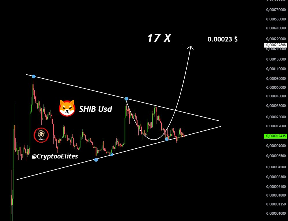 Shiba Inu Analyst Forecasts 17x Rally for SHIB: Here’s Target Price image 0