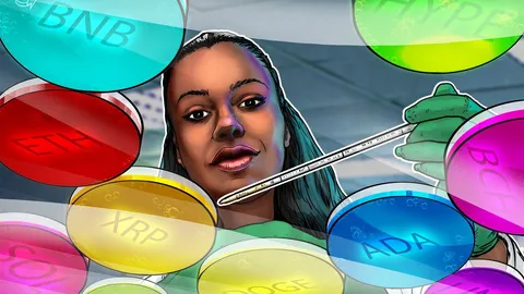 توقعات الأسعار 11/26: BTC، ETH، XRP، BNB، SOL، DOGE، ADA، HYPE، BCH، LINK