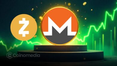Privacy Coins Surge as XMR and ZEC Lead the Rally