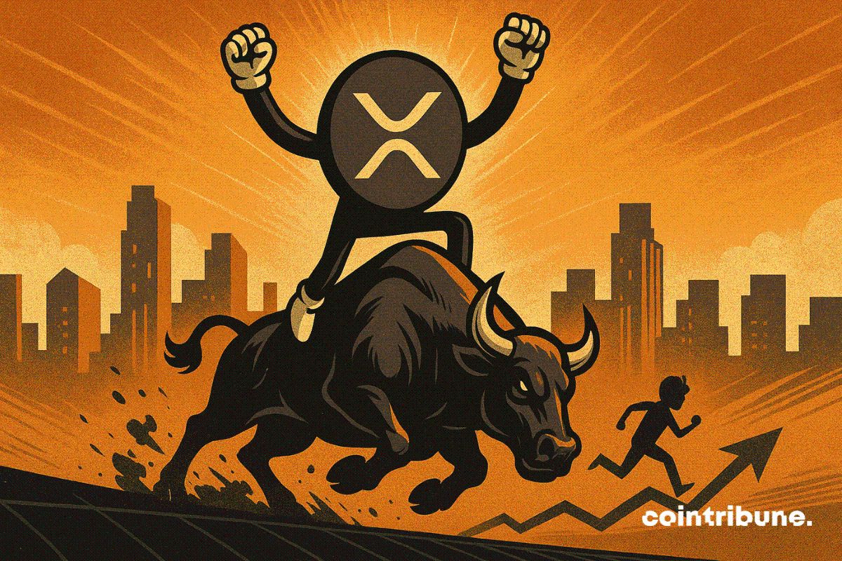 Crypto : Le XRP pourrait-il rejouer le bull run de 2017 cette année ?