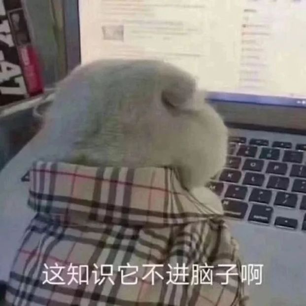 3000 块变 300 万，初出茅庐的大学生他凭什么？ image 3